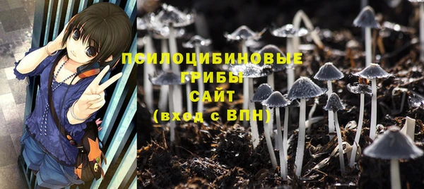 mdpv Бронницы