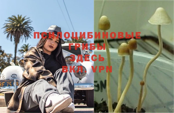 mdpv Бугульма